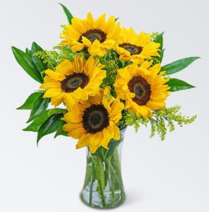 Sprinkle a little happiness into someone's day! This beautiful arrangement of sunflowers in a clear glass vase will bring a glow to any occasion. Sprinkle of Sunshine is the perfect way to send your warmest wishes to friends, family, and loved ones. We want you to have the best so we may sub products of equal or greater value if a product is unavailable. Please understand substitutions may be made. If you have questions about this please call our shop directly.