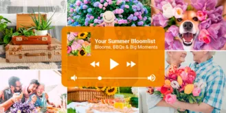 Lifestyle—BC—Summer Playlist—Blog Header